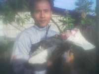 Alya 86